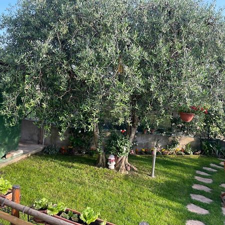 Casa Vacanze Collina Del Lago Пастренґо Екстер'єр фото