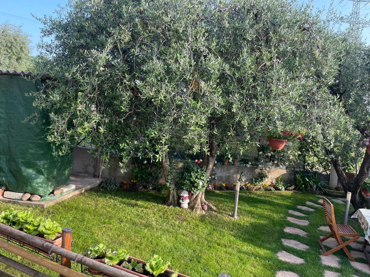 Casa Vacanze Collina Del Lago Пастренґо Екстер'єр фото